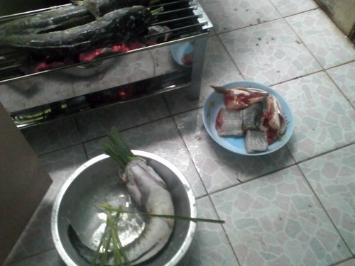 ไปtestกบกระโดดทำเองแถวคลองเปรม