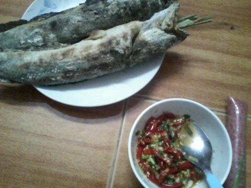ไปtestกบกระโดดทำเองแถวคลองเปรม