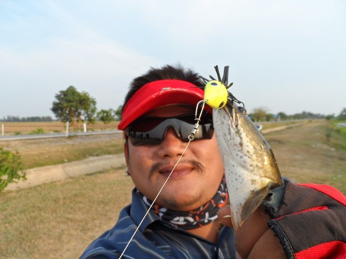 แค่เอาเหยื่อไปเทส