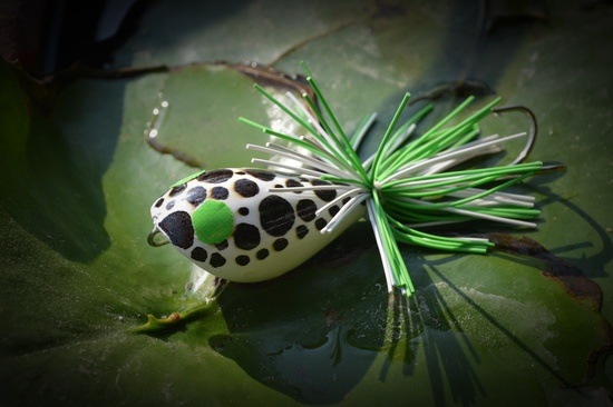 Little Frog  ฝากพิจารณาครับ