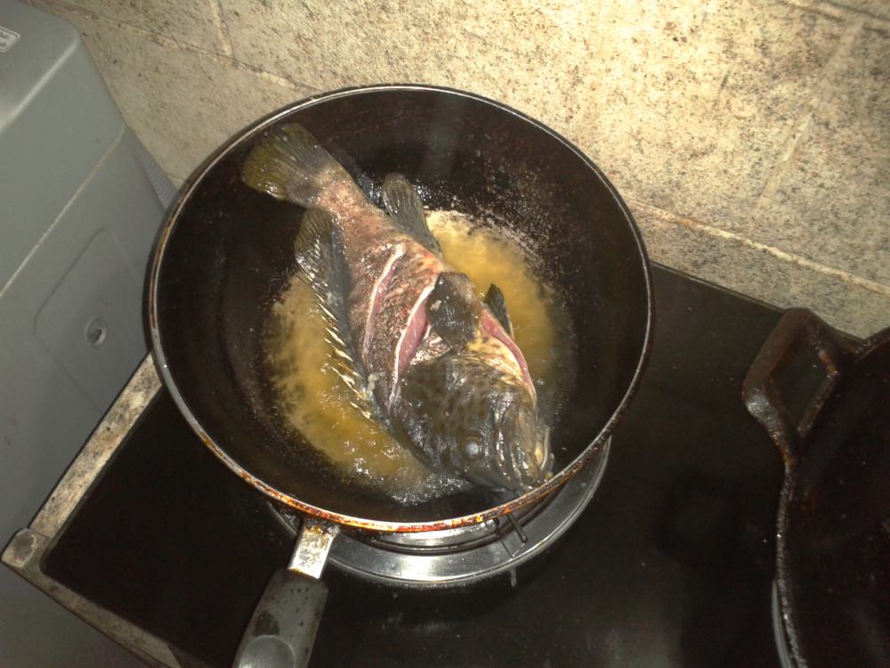 ปลาตัวแรกกับเหยื่อปลอมที่ปากน้ำชุมพร