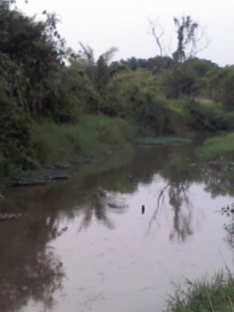ช่อน หลังเลินงาน