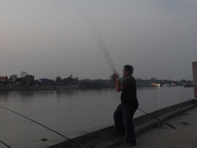 เจ้าพระยา ปลาค้าวเยอะ