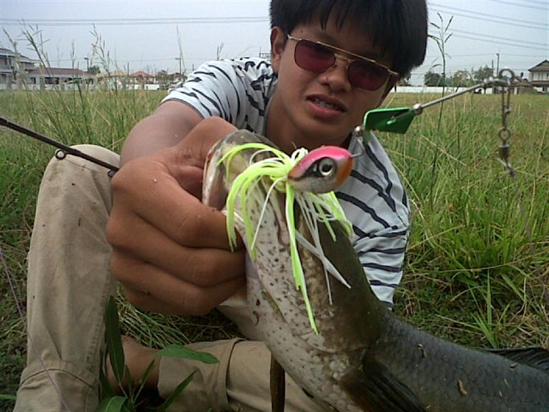 ช่oน ข้างทาง พาเพลิน <3