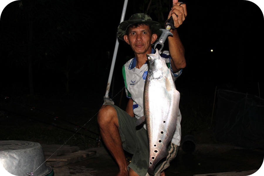 ประเดิมคันใหม่
