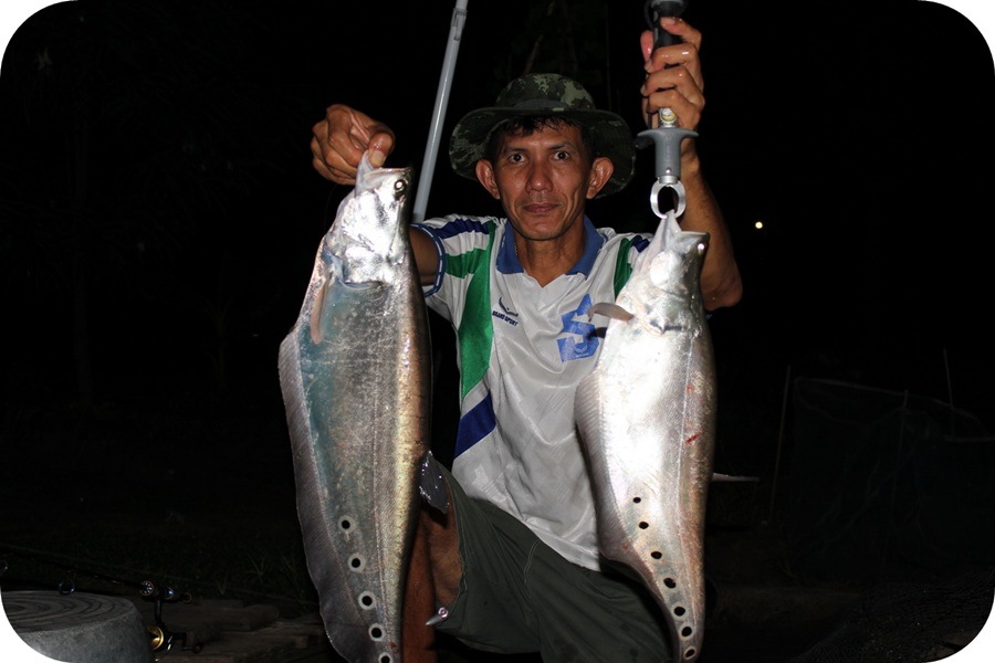 ประเดิมคันใหม่
