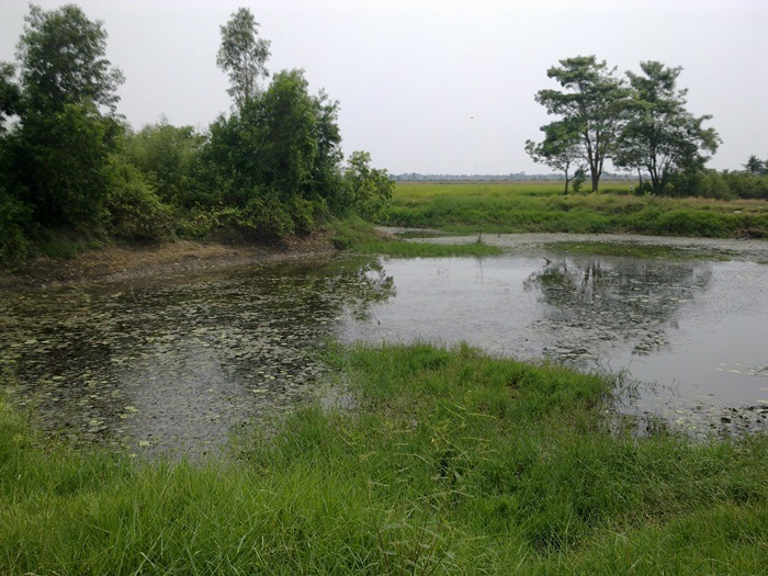 @ ข้างทาง ตอนบ่าย ๆ  @