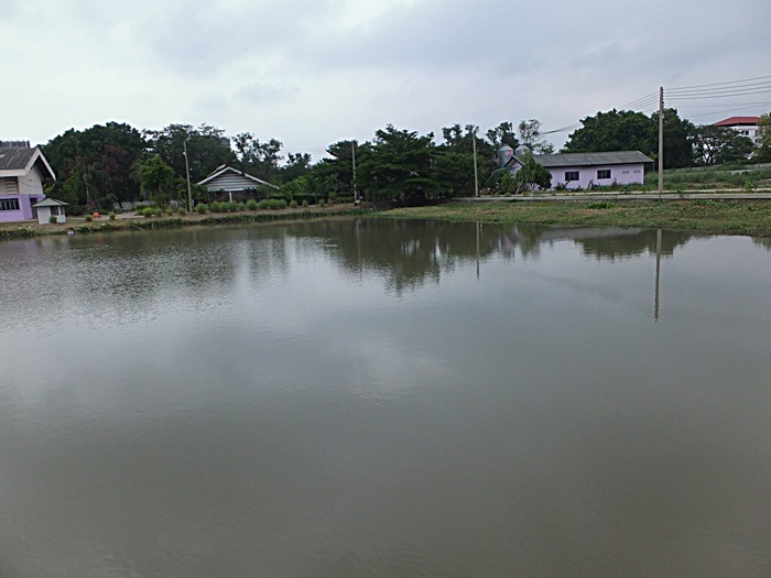1225 ชม.ที่รอคอย