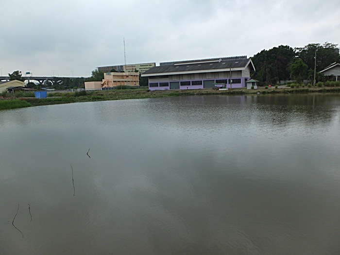 1225 ชม.ที่รอคอย
