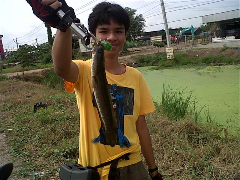 ช่อนสุพรรณ พาเพลิน <3