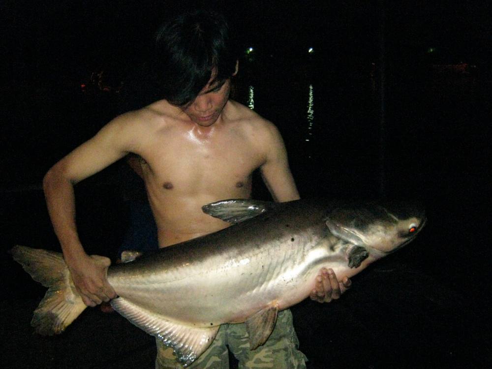บึงสำราญ