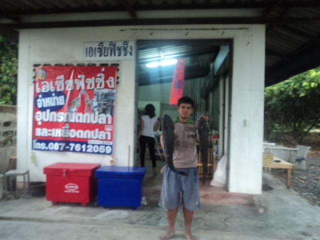 ครึ่งวัน 3 ตัว