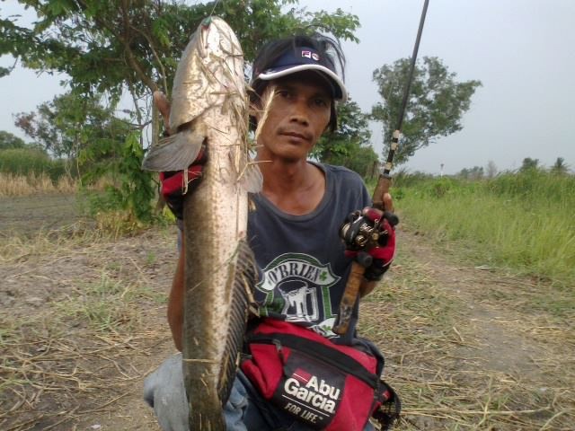 ......Texas Rig...ๆ..