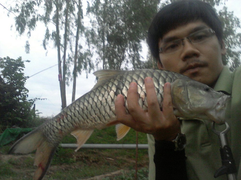 ไปตีไอ้โด ดันได้กระสูบกลับบ้าน ^^