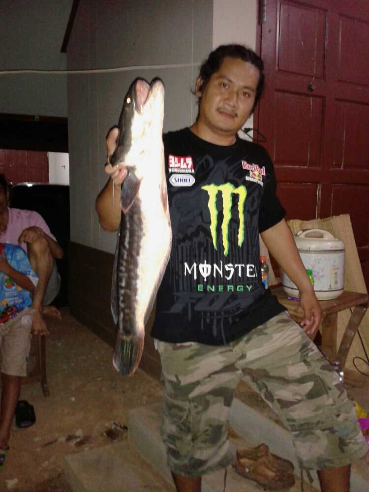 บ่องตง...ใหญ่ได้ใจทั้ง....น้องสูบ..และ..พี่โด...วันสงกาณต์