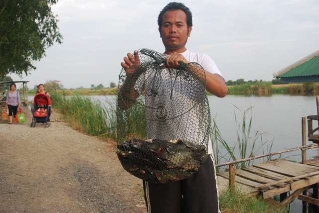 บ่อหนุ่มบางวัว(บ่อปลารวม ช่วงสงกรานต์ที่ 13,14-04-56