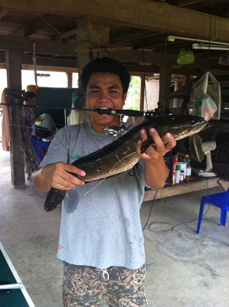 น้ำแค่ฝ่ามือก็มีตัว