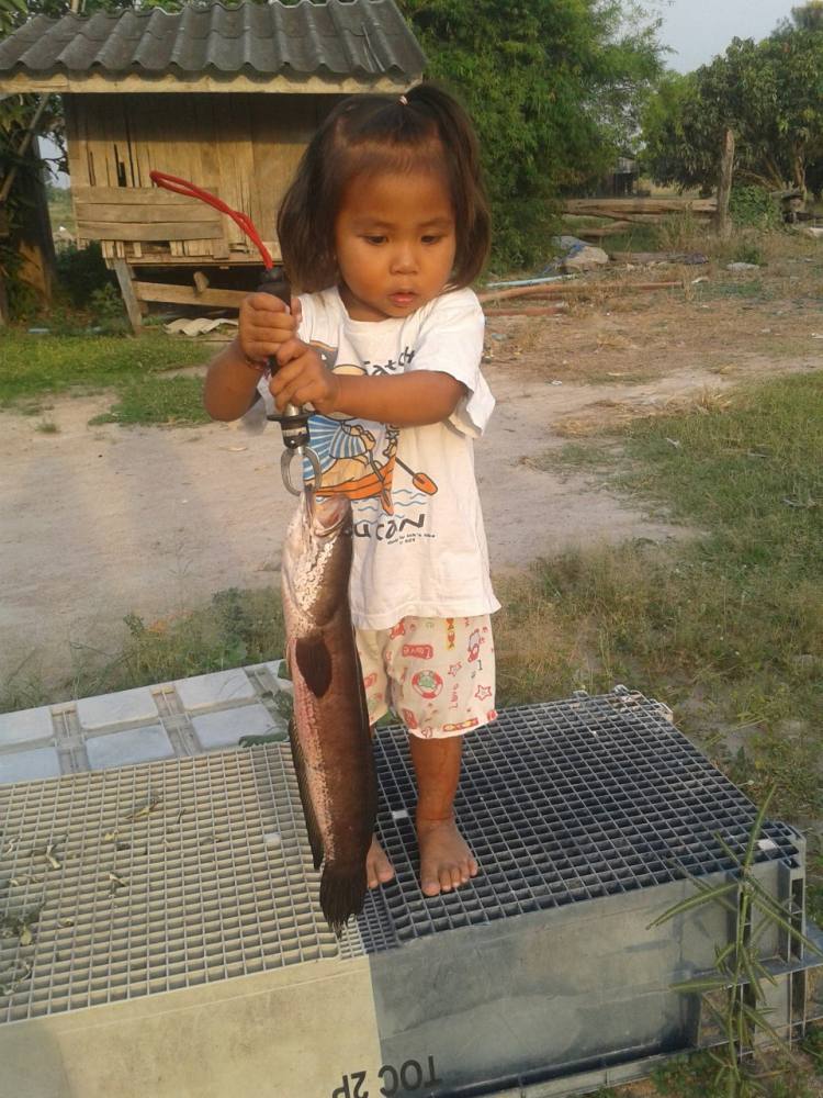 พ่อชอบลูกก็ชอบนะ อีกไม่กี่ปีคงมีผลงาน