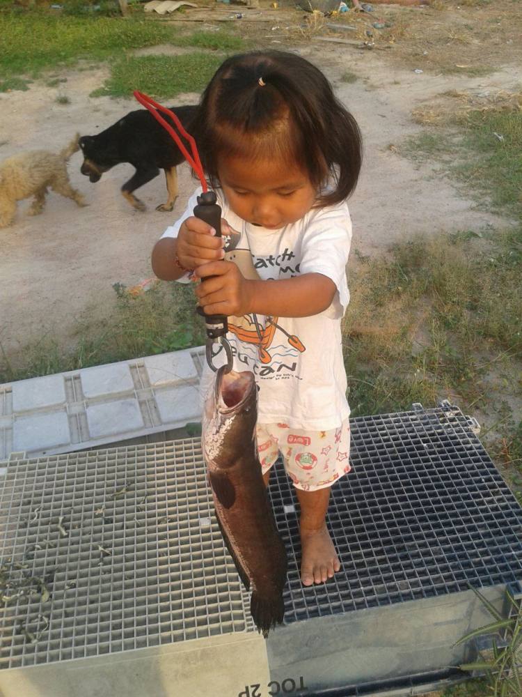 พ่อชอบลูกก็ชอบนะ อีกไม่กี่ปีคงมีผลงาน