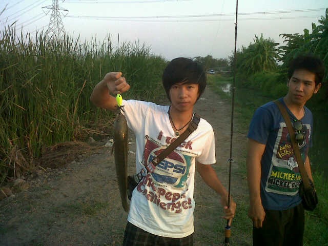 หมายข้างทาง กะเหยื่อ JJ 