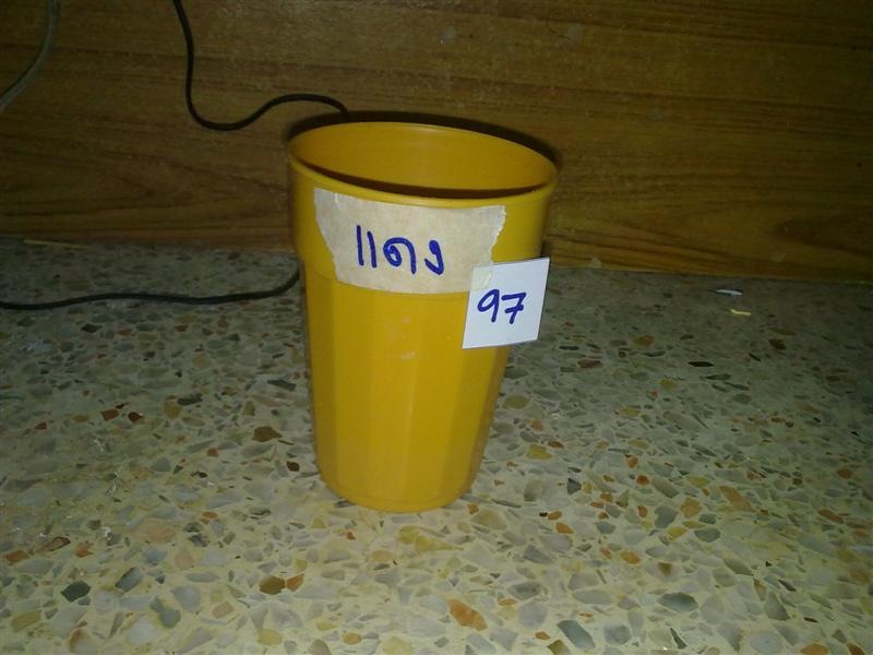 ประกาศน้าที่ได้สติ๊กเกอร์และกบ..ครับ