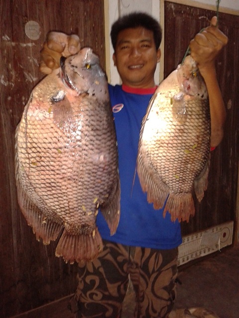 สัตว์ป่า ในแม่น้ำน่าน ครับ แบบ SPEARFISHING