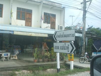 ดอกกรายพอได้อยู่ 