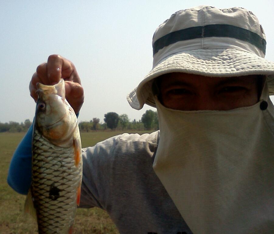 กระสูบรวมๆ