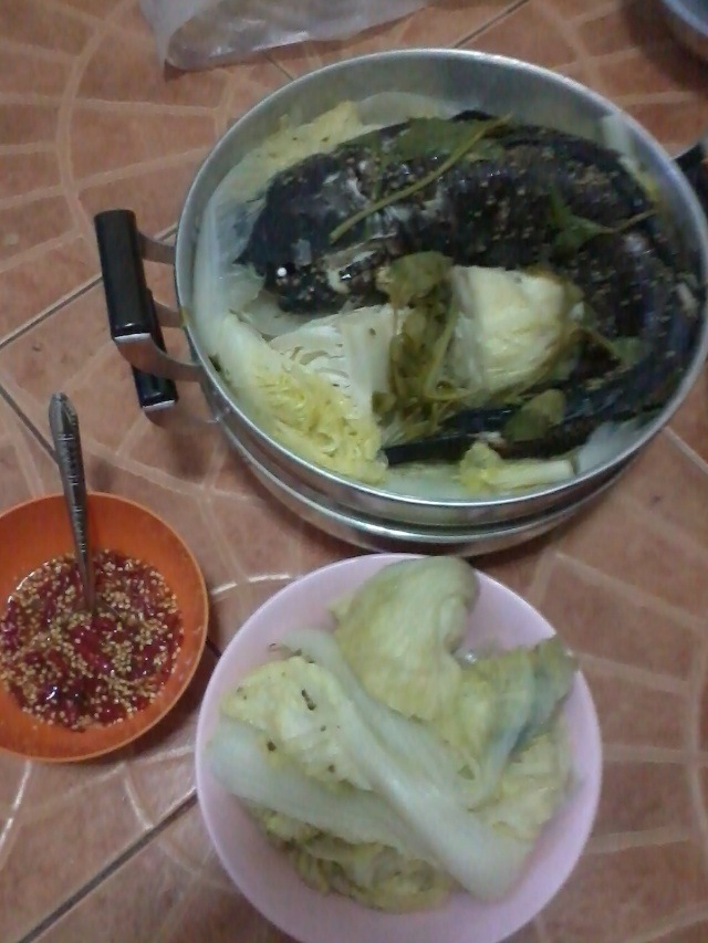 ช่อนกีบม้า