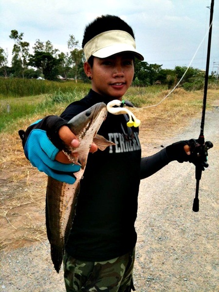 หัดเล่น texas rig