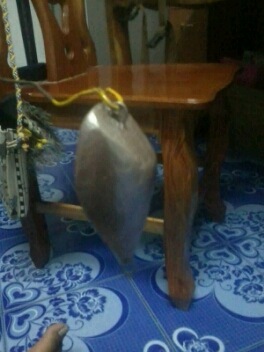 กบกระโดดปรับปรุงครับ