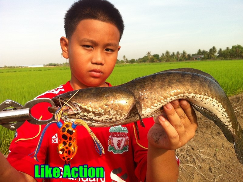 เทสกบ Like Action เมื่อวันวาน 