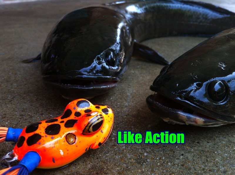เทสกบ Like Action เมื่อวันวาน 