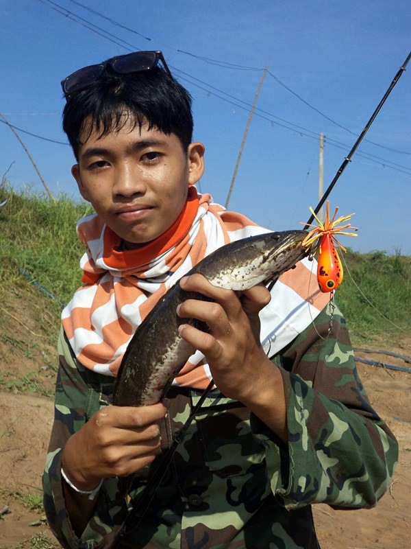 โนนสูง ยังพอได้ตัว