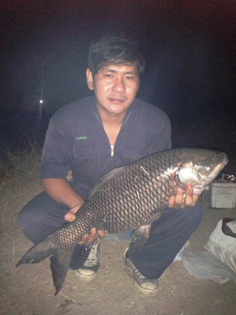 ตลุยไอ้รถถัง ภาค 2