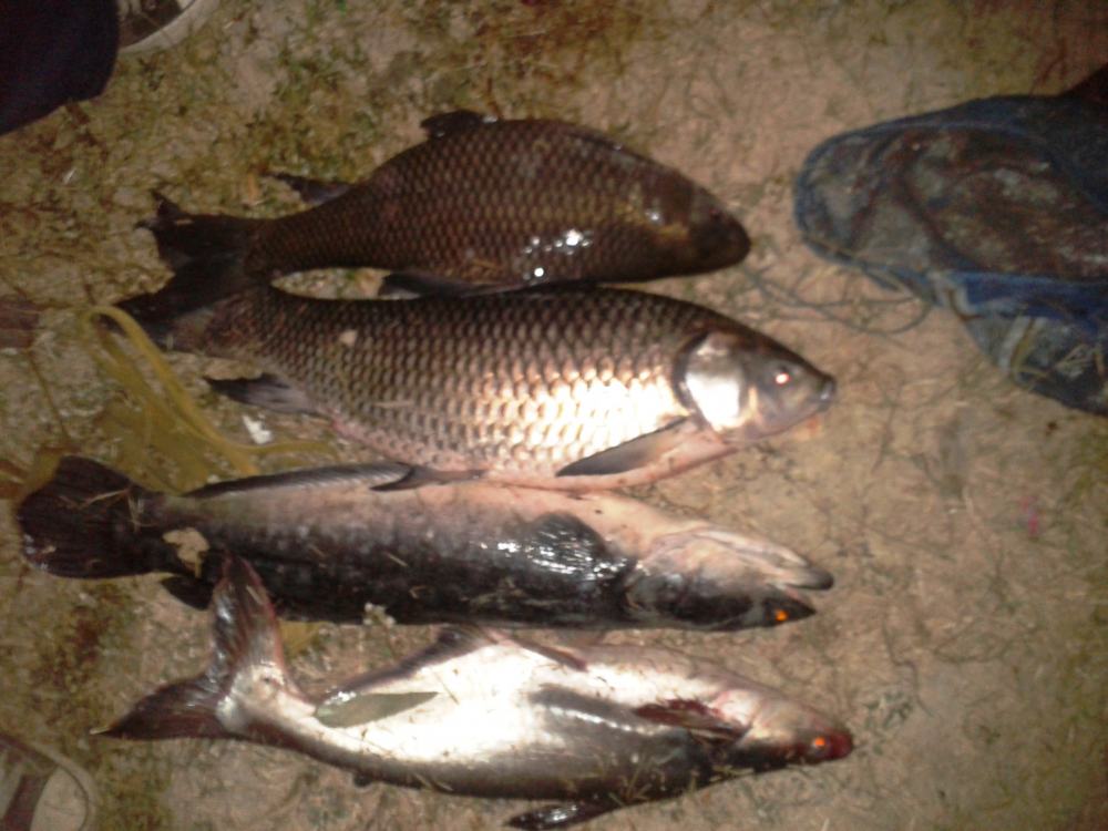 ตลุยไอ้รถถัง ภาค 2