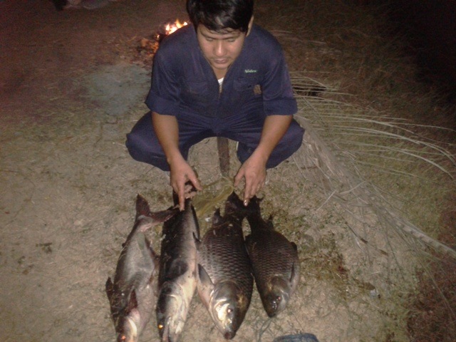 ตลุยไอ้รถถัง ภาค 2