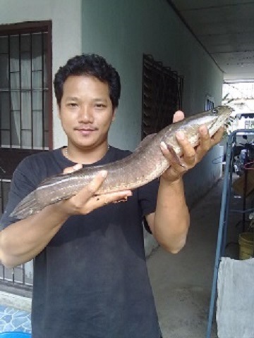 เพราะเรานั้นคู่กัน