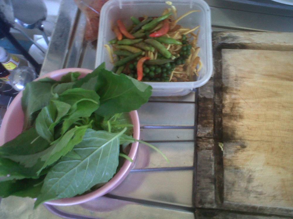 ผัดปลาดุกใส่ใบกระเพราควาย 