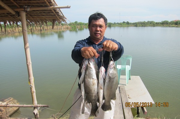 บ่อตกปลาน้องพลอย2 วันที่ 5 /5/56