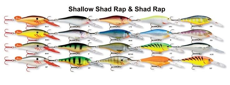Rapala shard rap สีอะไรดี