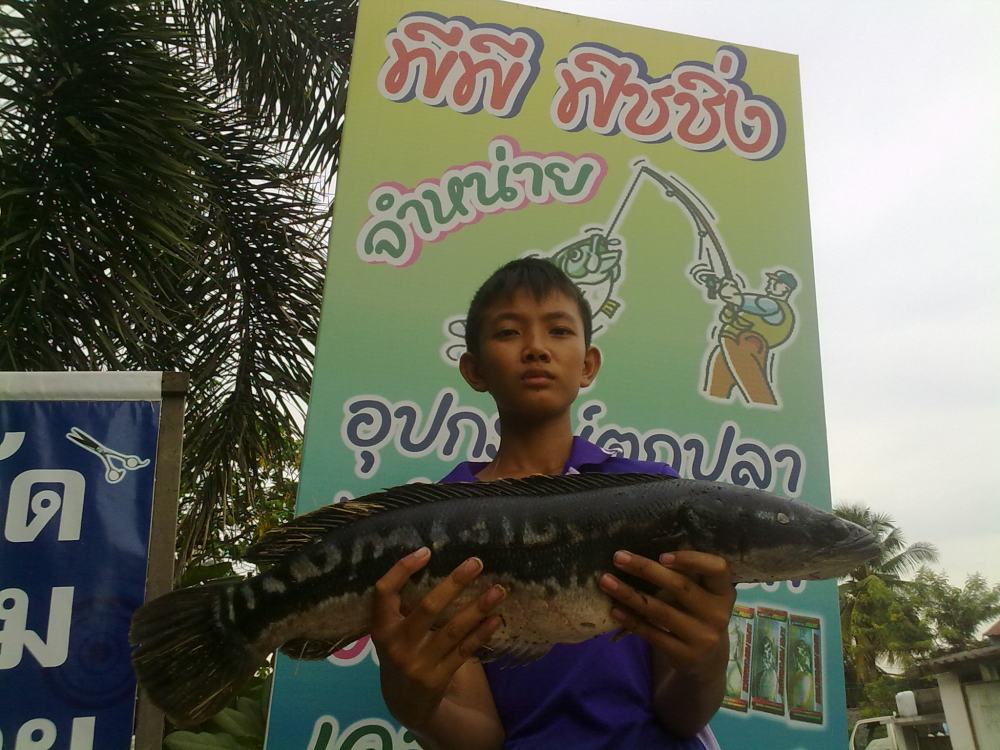 เด็กสร้างทำเหตุ