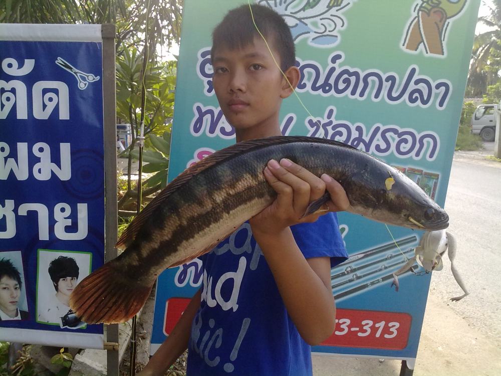 เด็กสร้างทำเหตุ