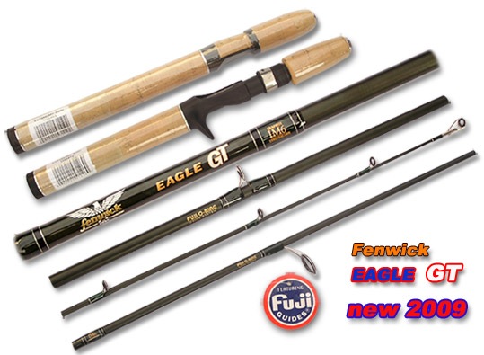 Berkley Lightning Rods Model 2012 vs  Fenwick  EAGLE  GT  2009