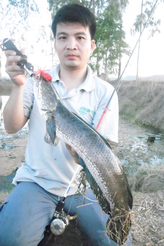 ช่อนอีกแล้ว ^^