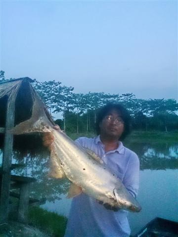 ทดสอบเหยื่อ