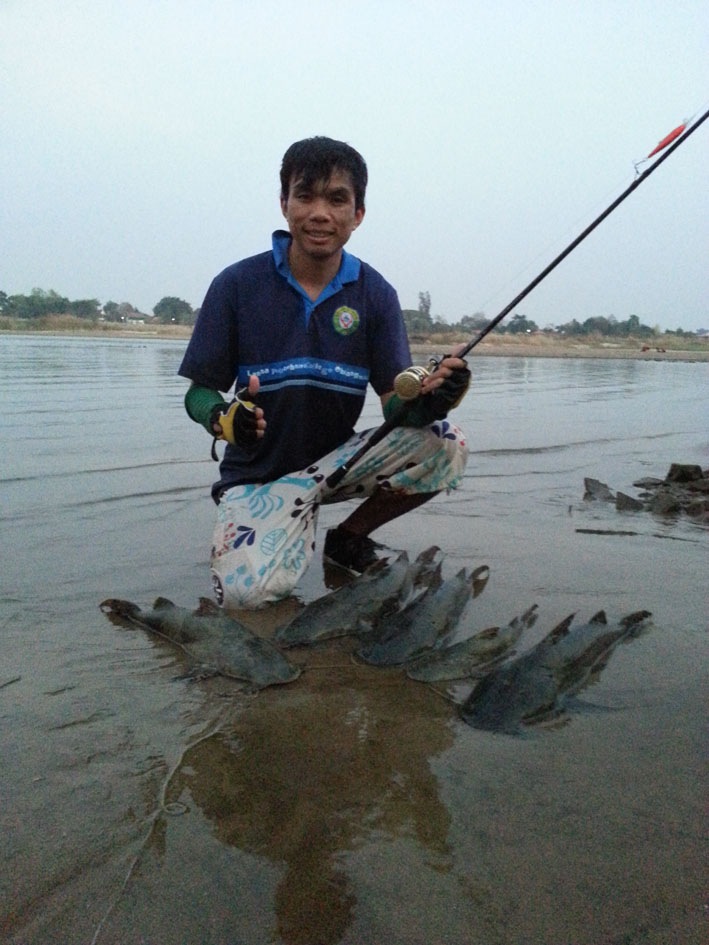 ปลากด..แสนสนุก