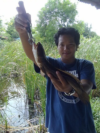 ว่างๆก้อออกหาปลาดีกว่า