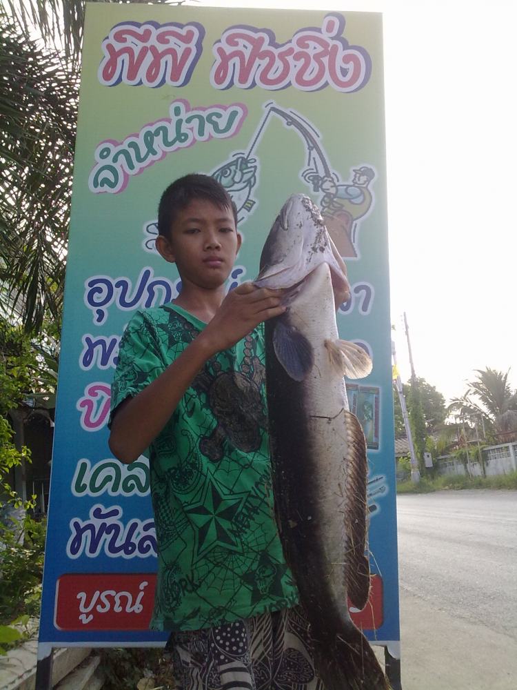 ชะโดซอรัส