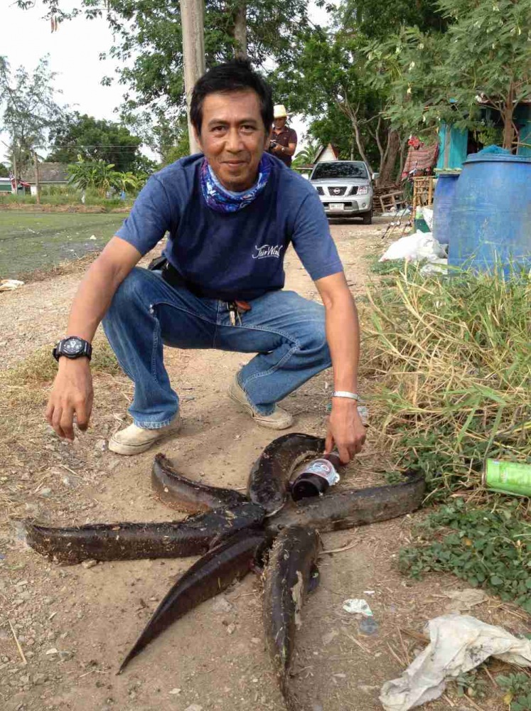 ทริปเล็กเล็ก..ปลาช่อน..คับ